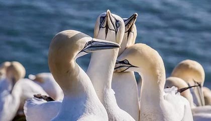 开源证券举办中国人形机器人产业发展白皮书交流会