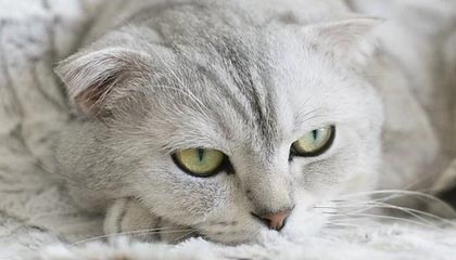 主播说联播 | 蕴含“中国之治”密码的宏伟蓝图