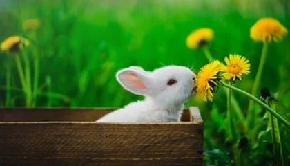 开源证券 “中国人形机器人产业发展白皮书交流会”召开 “中国人形机器人50人论坛”成立