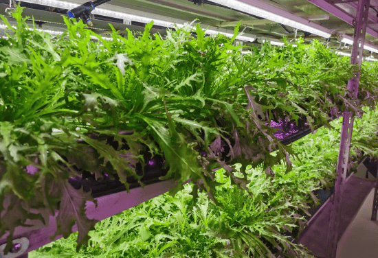 江西南昌：“人才贷”化身“及时雨” 助力科技成果转化