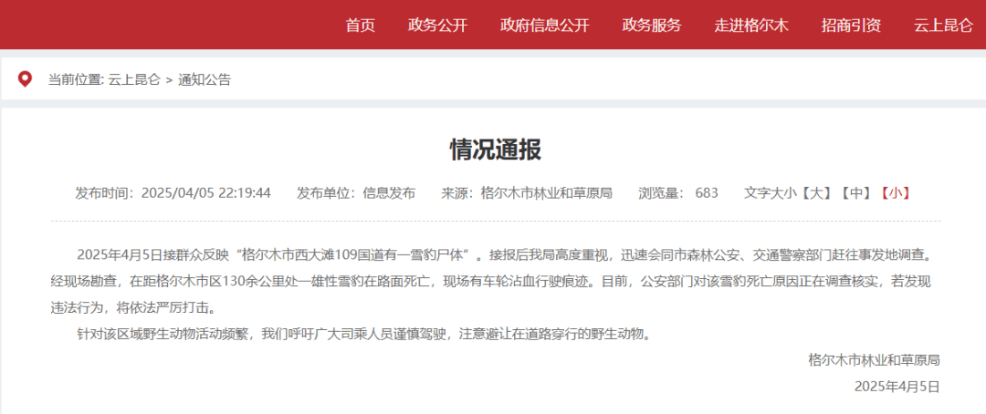 国道上发现雪豹尸体，疑似一级保护动物遭车辆撞击