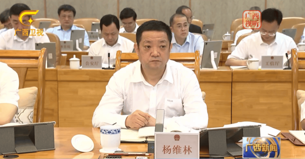 广西壮族自治区副主席、公安厅厅长杨维林任公安部副部长