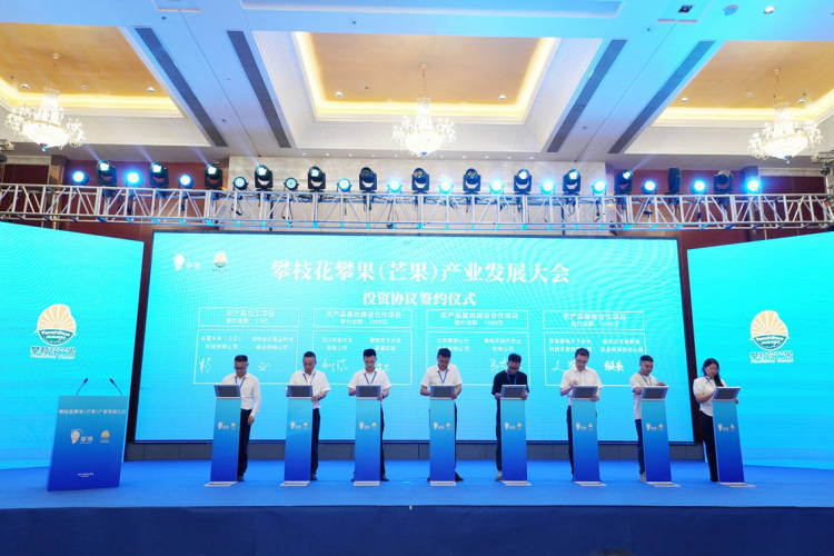 项目投资总额近15亿元 攀枝花攀果（芒果）产业发展大会在盐边举行
