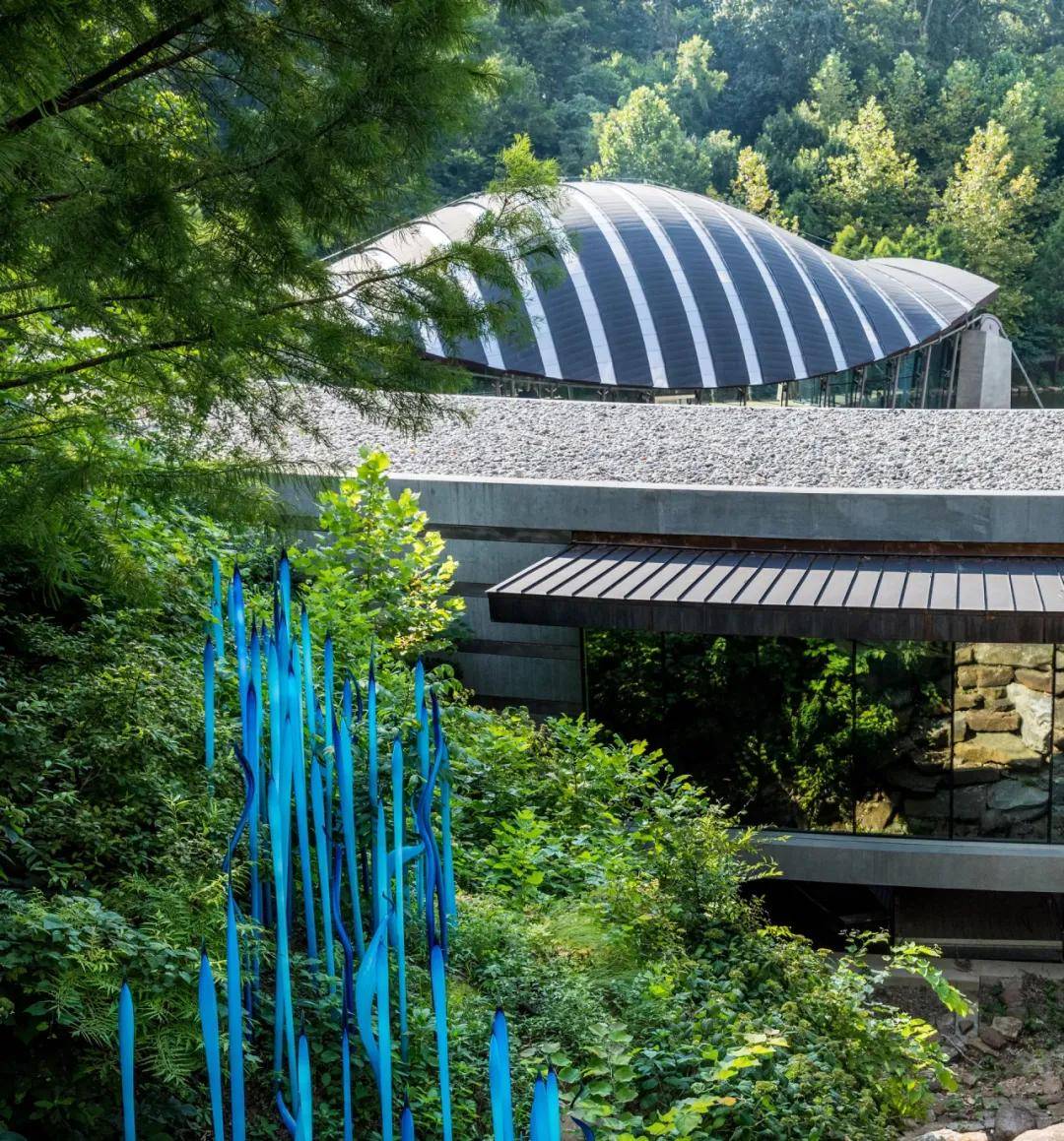 身家千亿美元的沃尔玛小公主:不上班,不生娃,只烧钱