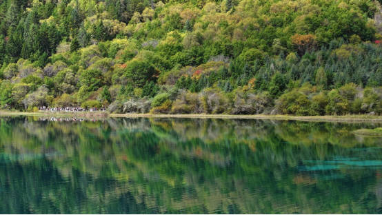 九寨沟:满山彩林如画 美景宛若人间仙境