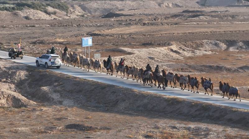 新疆20多人骑骆驼去洛阳,领队曾是当地网红文旅局长,已走60多天,曾遇12级大风