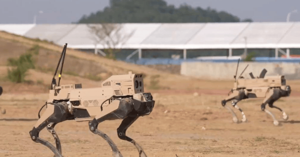 解放军“机器狼”投入台海，集群抢滩动作丝滑