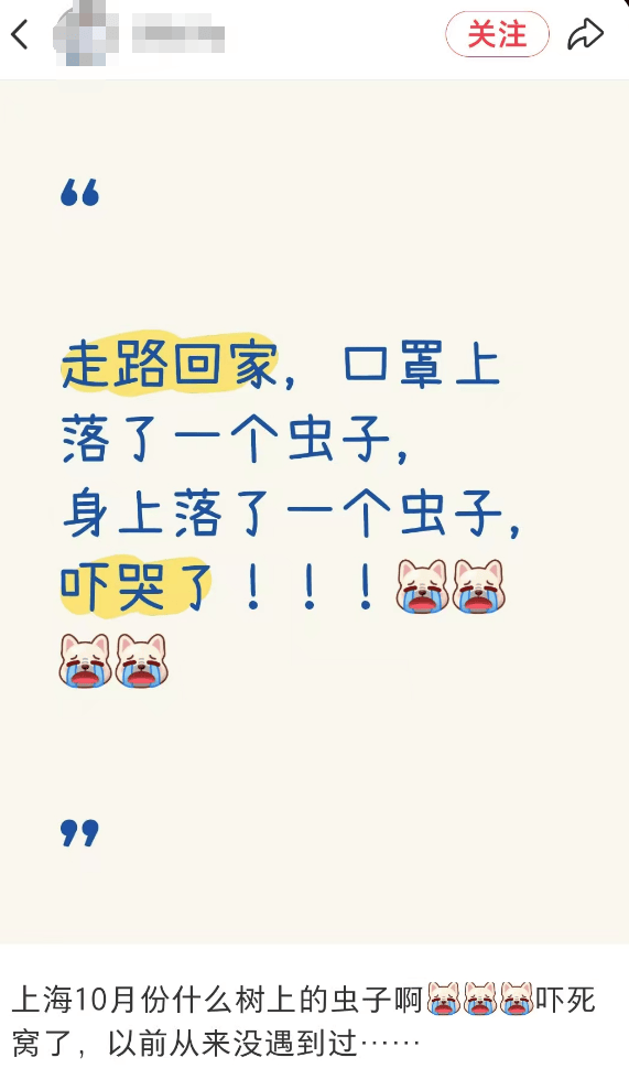 汽车被虫子啃得都是窟窿,“一边咬一边往里钻”!很多人中招