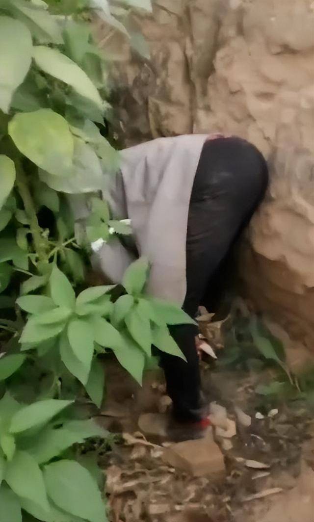 女子疑因拍亲姑姑偷玉米遭姑父棍杀，邻居欲报警也遇害