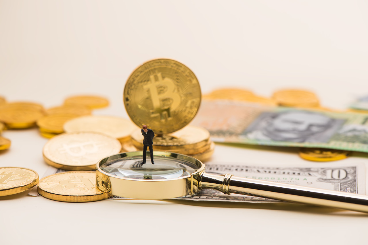 金道外汇平台(金道外汇投资官网下载)