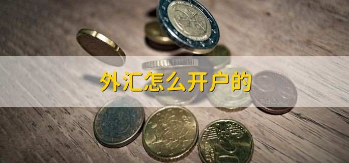怎样外汇开户(怎样开外汇账户)