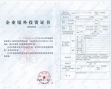 对外投资外汇(对外投资外汇额度)