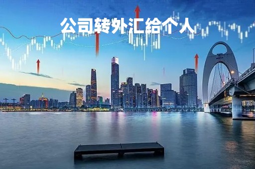 外汇开公司(开一家外汇公司要多少本钱)
